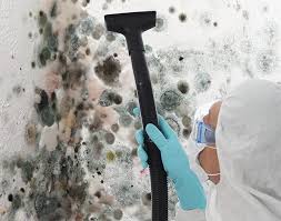 Best Mold Damage Restoration  in Healdsburg, CA